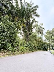 Cluny Park (D10), Detached #563355841